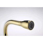 PAULMARK LANGE La214212-G золото