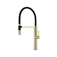 PAULMARK LEADER Le214101-LG с гибким изливом