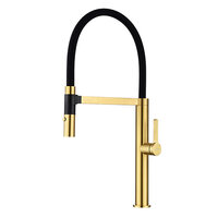PAULMARK LEADER Le214101-BG с гибким изливом