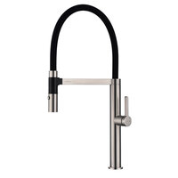 PAULMARK LEADER Le214101-NI с гибким изливом