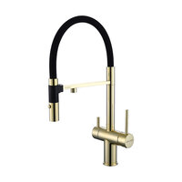 PAULMARK Gravity Stärke Gr213188-G с гибким изливом
