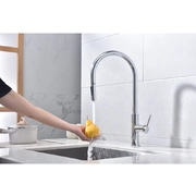 PAULMARK Senso Se215180-CR хром