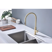 PAULMARK Senso Se215180-LG светлое золото