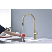 PAULMARK Senso Se215180-LG светлое золото