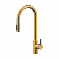 PAULMARK UNIVERSAL Un213880-BG брашированное золото